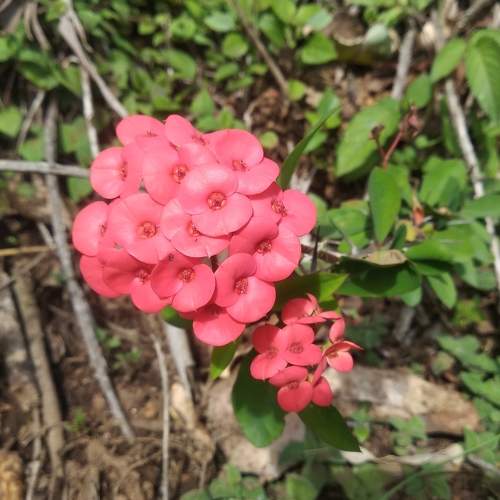 Photo #8801855