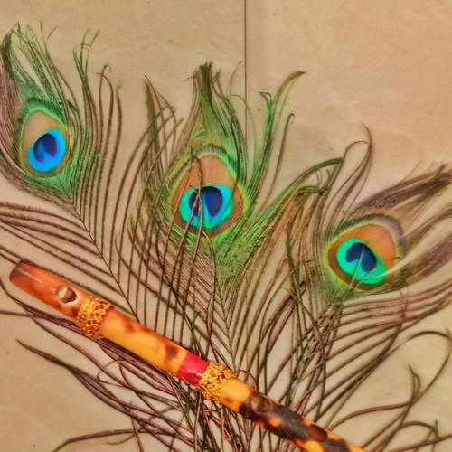 Photo #8801872