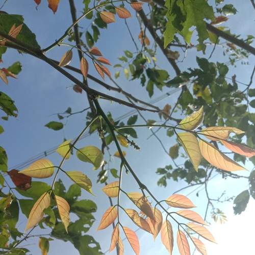 Photo #8801873