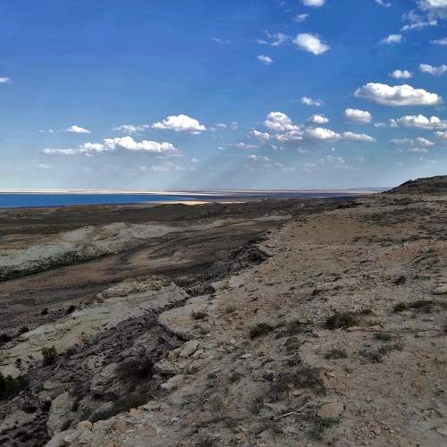 Photo #8801883