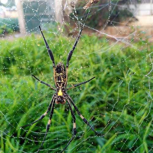 Photo #8801898