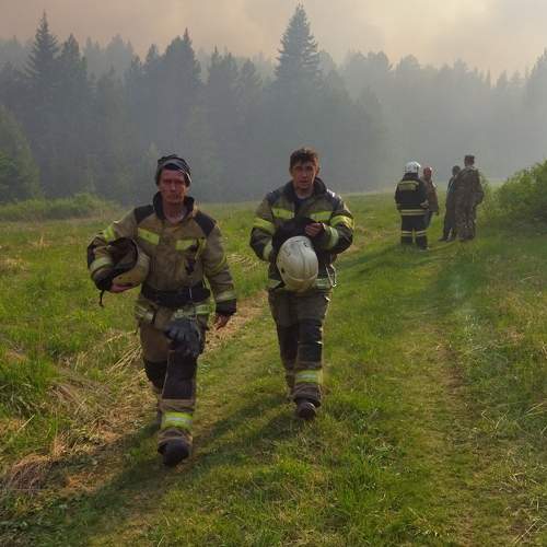 Photo #8801967