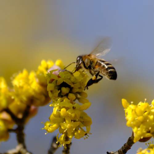 Photo #8802046
