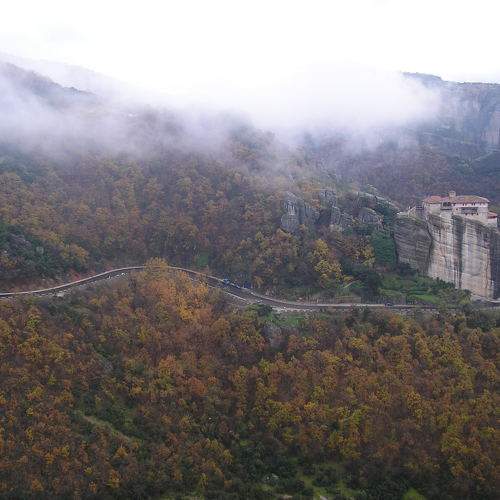 Photo #8802182