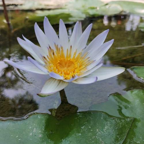 Photo #8802266