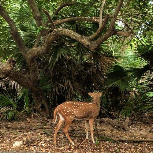 Photo #8802267