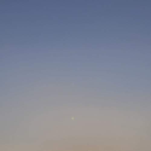 Photo #8802338