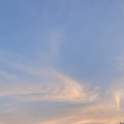 Photo #8802352
