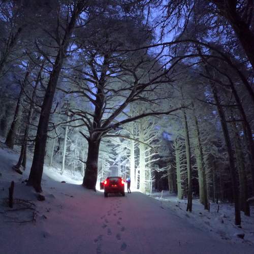 Photo #8802407