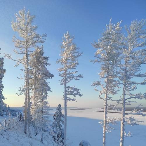 Photo #8802414