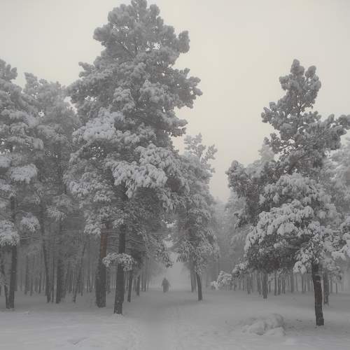 Photo #8802419