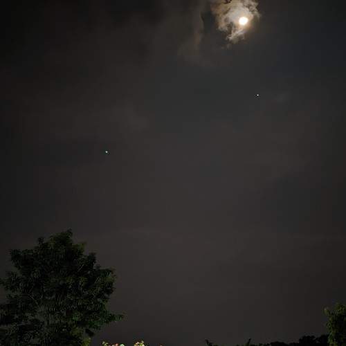 Photo #8802450