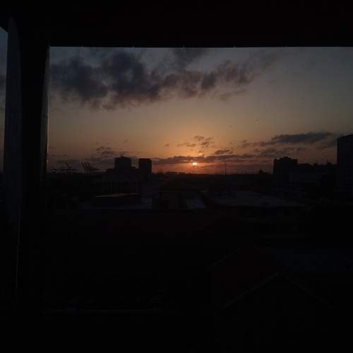 Photo #8802517