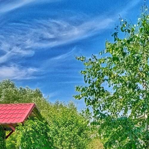 Photo #8802541