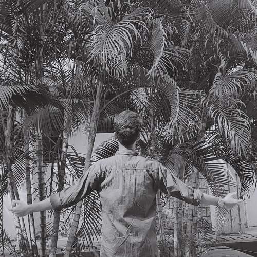 Photo #8802603