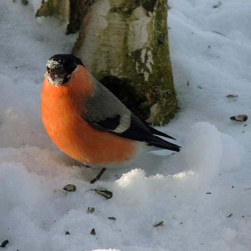 Photo #8802852