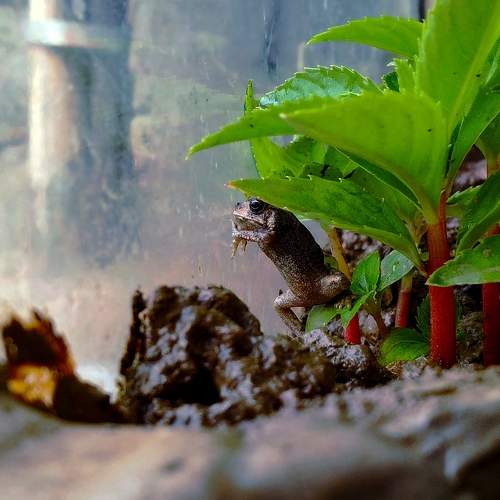Photo #8803005