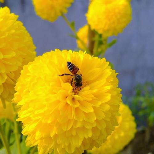 Photo #8803006