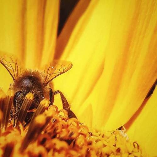 Photo #8803048
