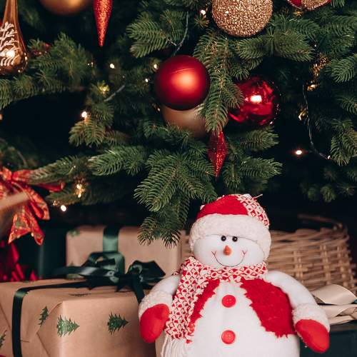 Photo #8803057