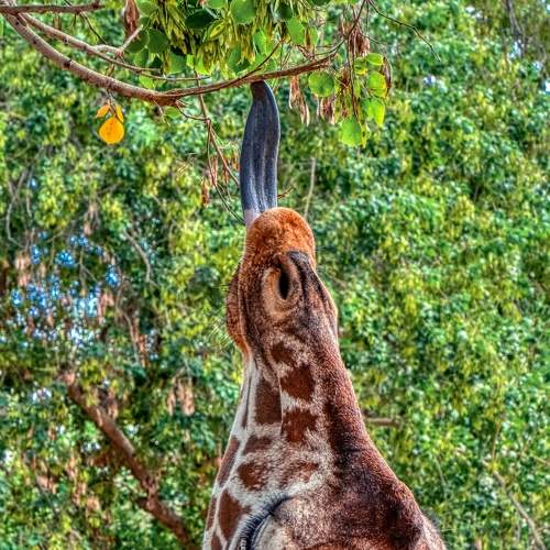 Фотография #8803058