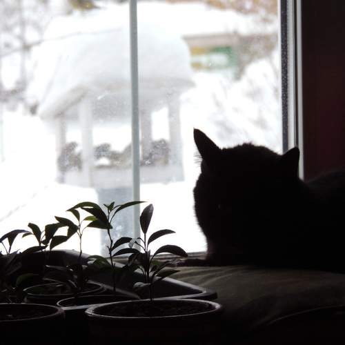 Photo #8803081