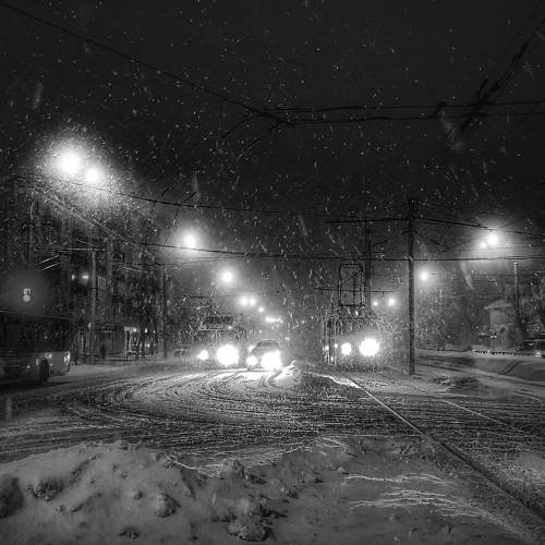 Photo #8803308