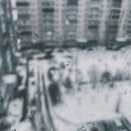 Photo #8804260