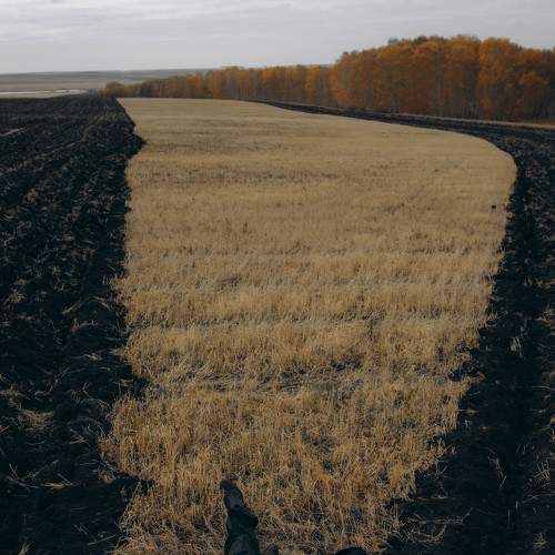 Photo #8804319