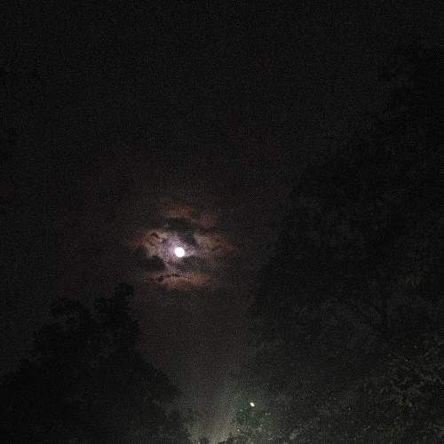 Photo #8804588