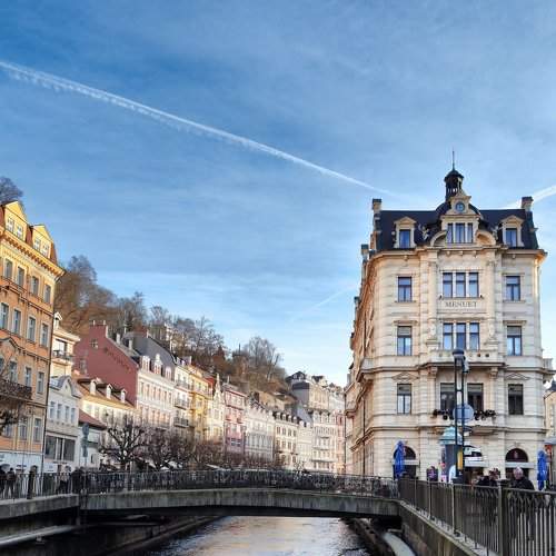 Photo #8804599