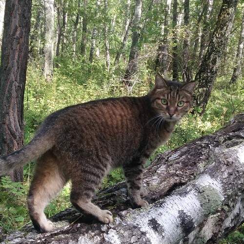 Photo #8804725