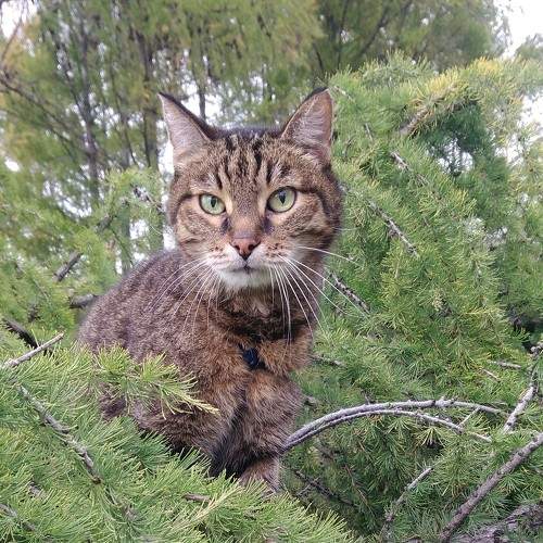 Photo #8804740