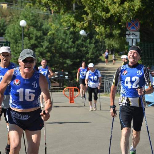 Photo #8804816