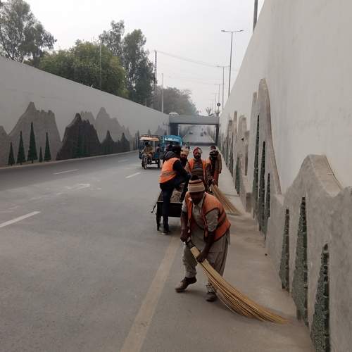 Photo #8805001