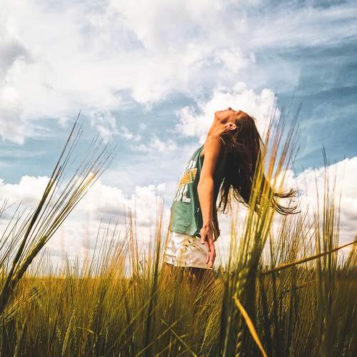 Photo #8805022