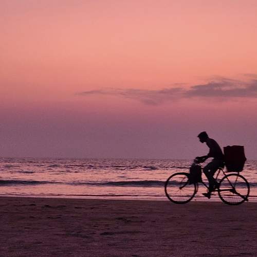 Photo #8805024