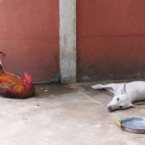 Photo #8805064