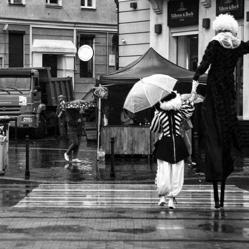 Photo #8805224
