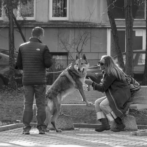 Photo #8805367