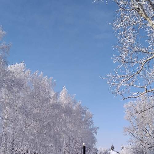 Зимушка.