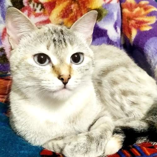 Photo #8805423