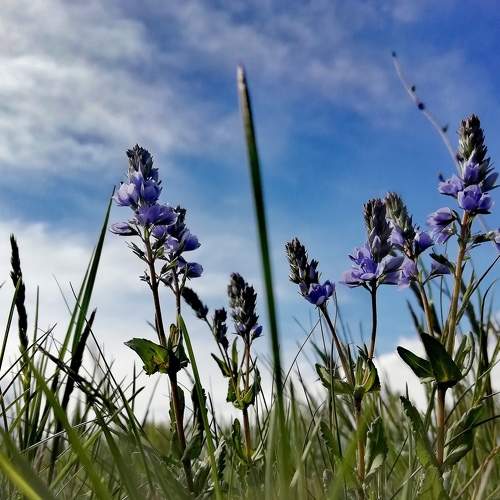 Photo #8805462