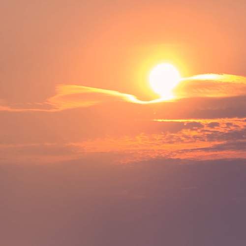 Photo #8805518