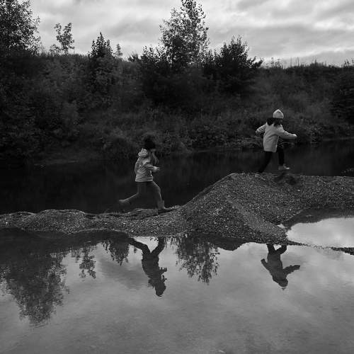 Photo #8805537