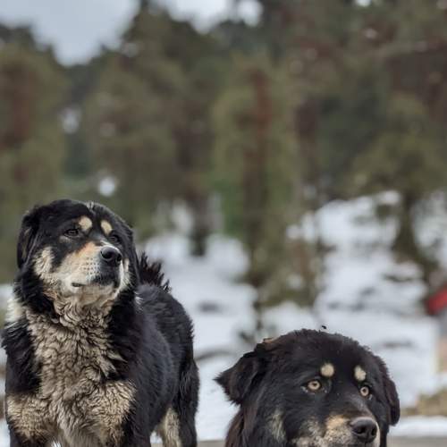 Photo #8805613