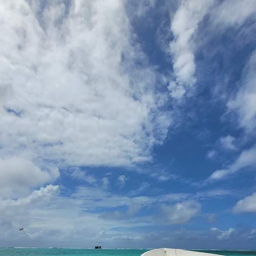Photo #8805811