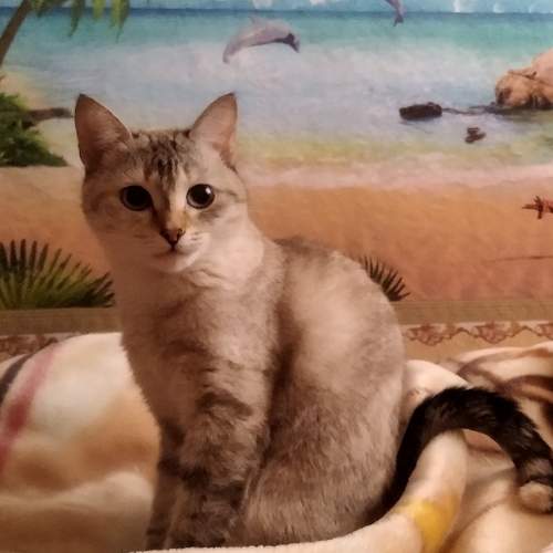 Photo #8805845