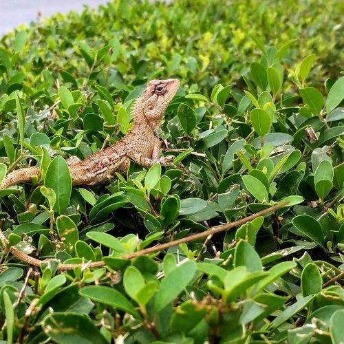 Photo #8806073