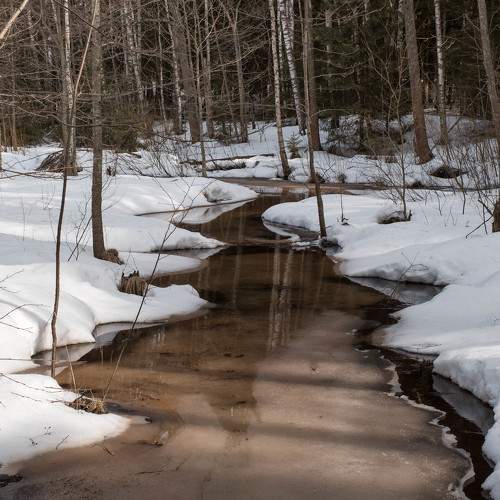 Photo #8806212